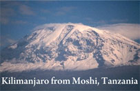 kilimanjaro moshi