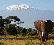 kilimanjaro trekking
