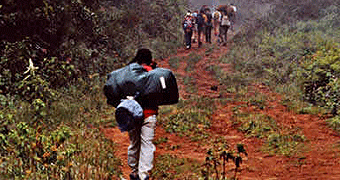 Mount Kilimanjaro Day Trip 