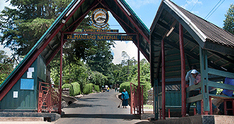 Mount Kilimanjaro Day Trip 