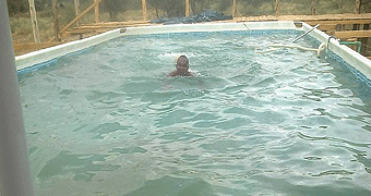 Kimana Oloirien Amboseli Camp 