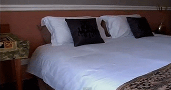 Kiota Guest House and Conference Centre