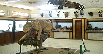 Kisumu Full Day City Tour 