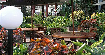 Kivi Milimani Hotel 