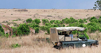 Kongoni lodge House Naivasha 