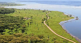lake nakuru day trip