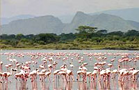 Lake Elementaita Serena Camp