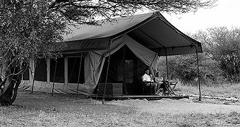 Manyara Ranch Tented Camp