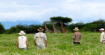 Manyara Ranch Tented Camp