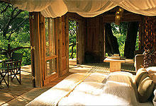 Lake Manyara Tree Lodge
