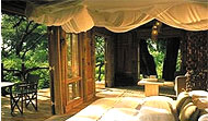 Lake Manyara Tree Lodge