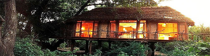 Lake Manyara Tree Lodge