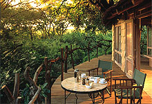 Lake Manyara Tree Lodge