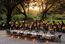 Lake Manyara Tree Lodge