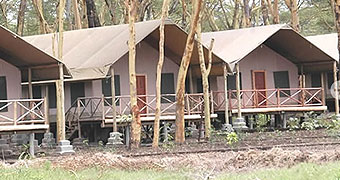 Lake Naivasha Crescent Camp