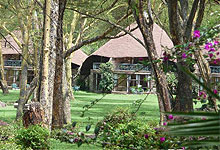 Naivasha Sopa Lodge
