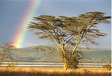 Lake Nakuru