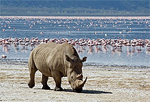 Lake Nakuru National Park