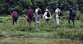 Walking & Hiking Safaris