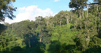Walking & Hiking Safaris