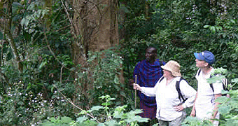 Walking & Hiking Safaris