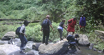 Walking & Hiking Safaris