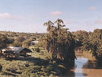 Lemarti’s Camp