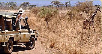 Leopard Rock Lodge