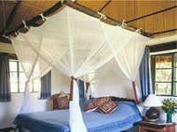 lewa wilderness cosy room
