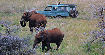 Lewa Downs Flying Safari