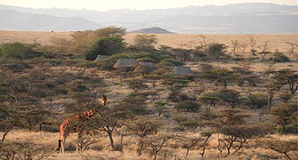 Lewa Safari Camp