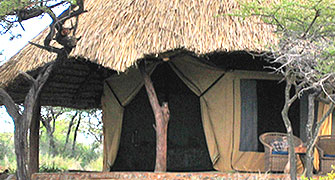 Lewa Safari Camp 