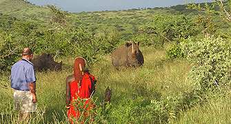 Lewa Wilderness Lodge