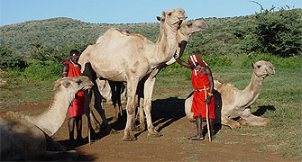 Lewa Wilderness Lodge