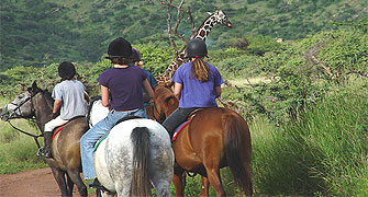 Lewa Wilderness Lodge
