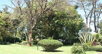 jumuia limuru