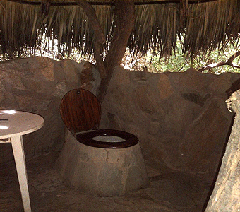 Lion King Bush Camp Samburu 
