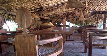 Lion King Bush Camp