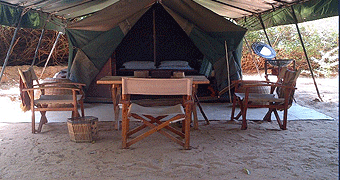 Lion King Bush Camp