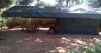Lion King Bush Camp