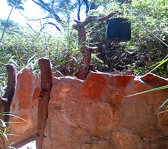 Lion King Bush Camp Samburu 