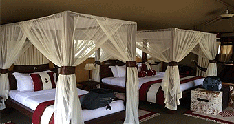 Little Mara Bush Camp