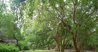 Loisiijo Lodge Shompole