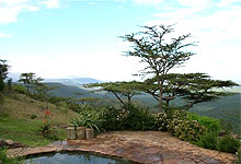 L'ol Dacha Hotel in Kenya's Rift Valley