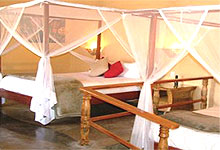 Luangwa River Lodge - Zambia