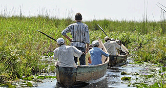 Mabamba Bay Wetland Birding