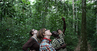 Mabira Forest Reserve Nature