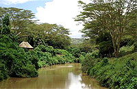 Malewa Wildlife River Lodge