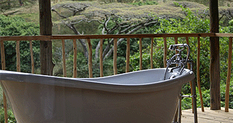 Malewa Wildlife Lodge