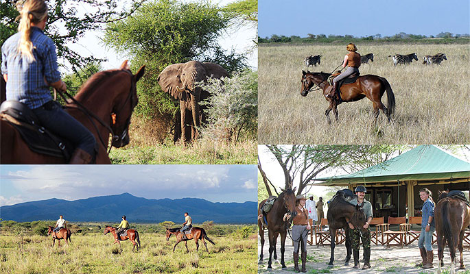 Manyara Ranch Tented Camp